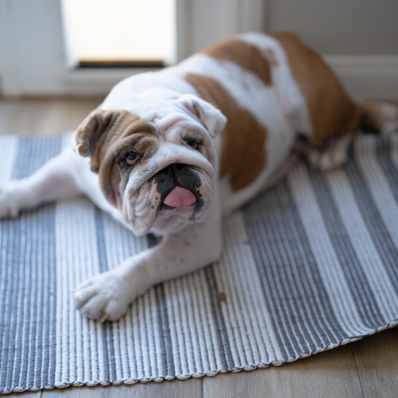 Meet your Posher, Heidi - Picture 6 of 7